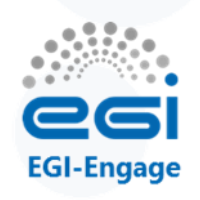 EGI-Engage